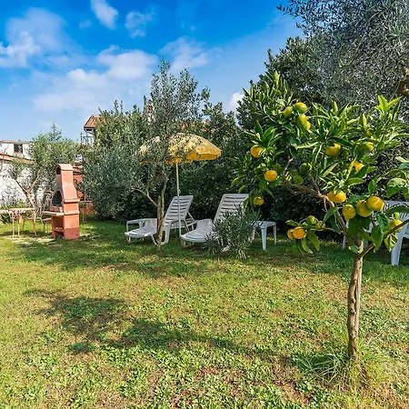 Apartamento Mirjana *