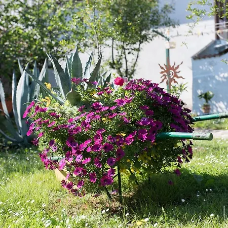 Apartamento Mirjana *
