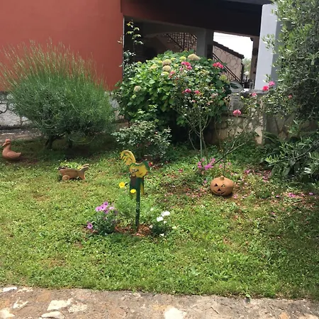 Mirjana Apartamento