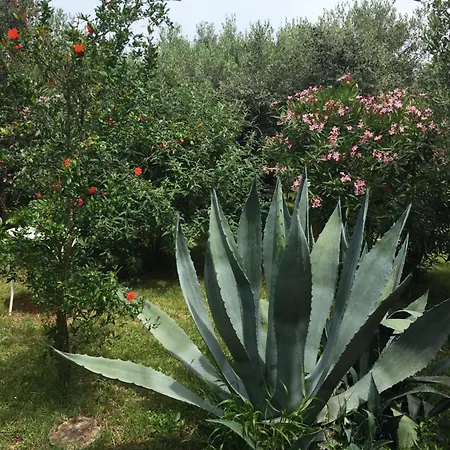 Apartamento Mirjana