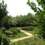 Mirjana * Umag