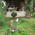 Mirjana