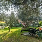 Mirjana Appartement *