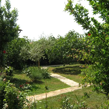 Mirjana * Umag