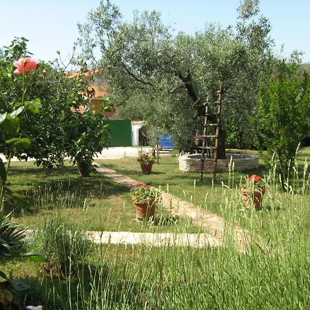 Mirjana Apartamento Umag